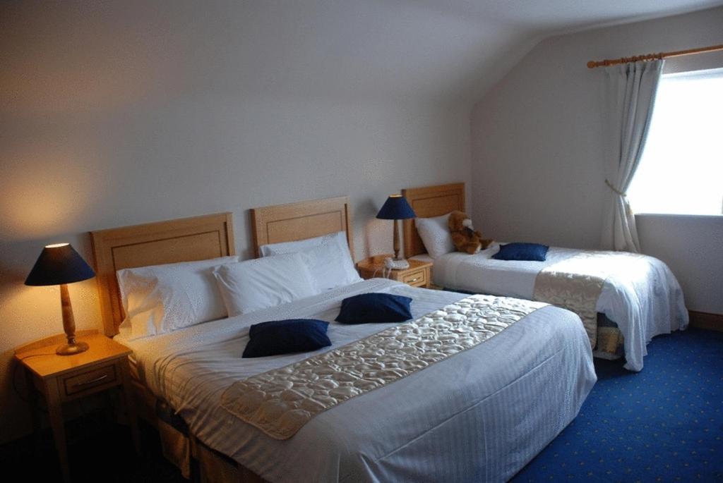 Virginia'S Guesthouse Kenmare Eksteriør billede